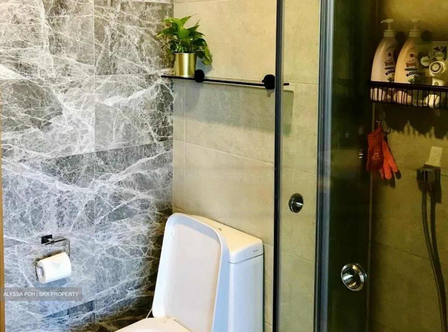 Spottiswoode Suites (D2), Apartment #461791431